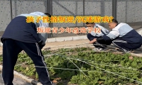 叛逆青少年改造學校矯正不服家長管的孩子
